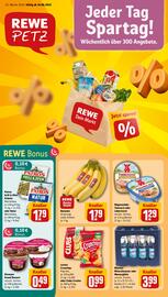 REWE PETZ Prospekt woche 25 Seite 1