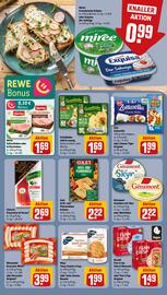 REWE PETZ Prospekt woche 25 Seite 10