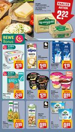 REWE PETZ Prospekt woche 25 Seite 11