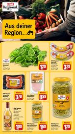 REWE PETZ Prospekt woche 25 Seite 13