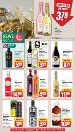 REWE PETZ Prospekt woche 25 Seite 17