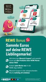 REWE PETZ Prospekt woche 25 Seite 28