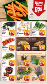 REWE PETZ Prospekt woche 25 Seite 7