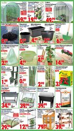 Wreesmann Prospekt woche 25 Seite 4