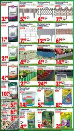 Wreesmann Prospekt woche 25 Seite 5