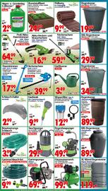 Wreesmann Prospekt woche 25 Seite 6
