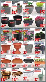 Wreesmann Prospekt woche 25 Seite 7