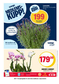 Coop Extra Kundeavis uke 25 Side 28