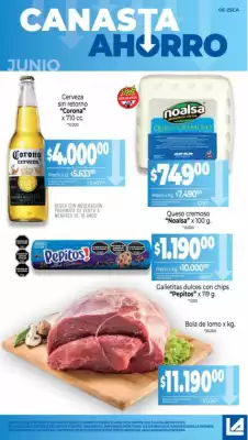 Catálogo La Anonima (válido hasta 30-06)