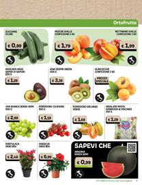 Volantino Gala Supermercati Pagina 5