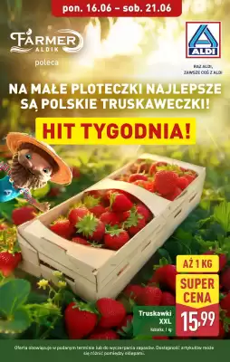 ALDI gazetka (ważność do 21-06)