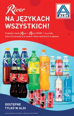 ALDI gazetka (wa偶no艣膰 do 21-06)