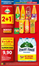Lidl gazetka Strona 10