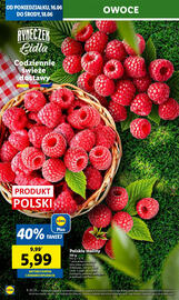 Lidl gazetka Strona 22