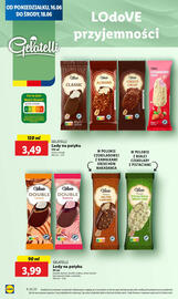 Lidl gazetka Strona 42