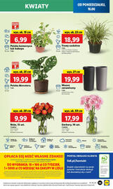 Lidl gazetka Strona 65