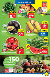 Lidl Flugblatt woche 25 Seite 13