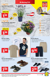 Lidl Flugblatt woche 25 Seite 27