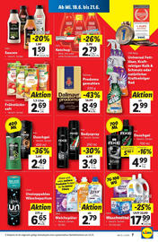Lidl Flugblatt woche 25 Seite 9