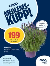Coop Prix Kundeavis uke 25 Side 12