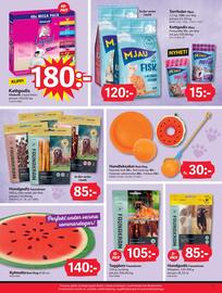 DollarStore reklamblad Sida 13