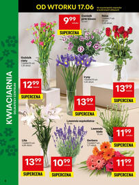 Delikatesy Centrum gazetka tydzień 25 Strona 8