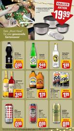 Rewe DE folder week 25 Pagina 17