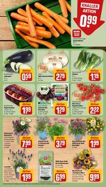 Rewe DE folder week 25 Pagina 7