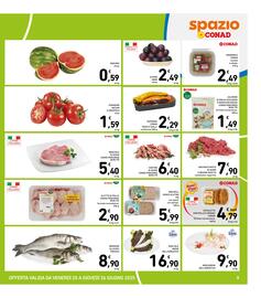 Volantino Spazio Conad settimana 25 Pagina 9