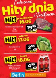 Delfin gazetka Strona 1