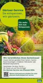 Pflanzen Kölle Prospekt woche 25 Seite 13