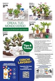 Volantino In'S Mercato Pagina 13