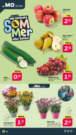 NETTO Prospekt woche 26 Seite 2