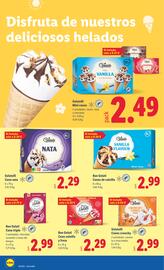 Folleto Lidl semana 26 Página 18