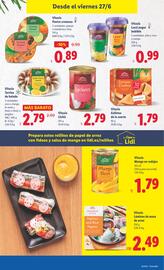 Folleto Lidl semana 26 Página 25