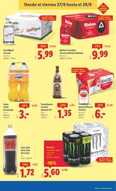 Folleto Lidl semana 26 Página 29