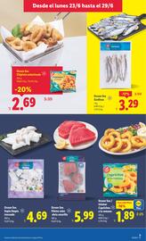 Folleto Lidl semana 26 Página 7