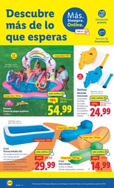 Folleto Lidl semana 26 Página 16