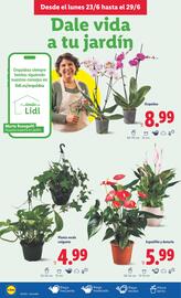 Folleto Lidl semana 26 Página 18
