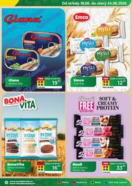 Tamda Foods leták týden 25 Strana 13
