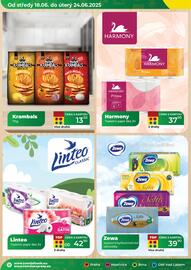 Tamda Foods leták týden 25 Strana 18