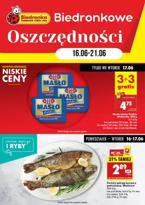 Biedronka gazetka (ważność do 21-06)