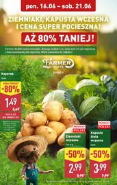 ALDI gazetka tydzień 25 Strona 4