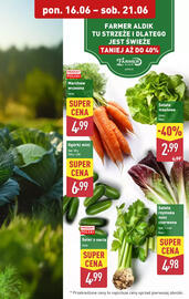ALDI gazetka tydzień 25 Strona 5