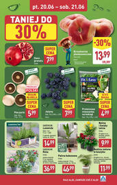 ALDI gazetka tydzień 25 Strona 6
