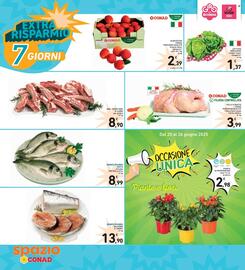 Volantino Spazio Conad settimana 25 Pagina 2