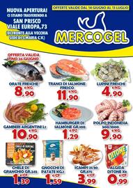Volantino Mercogel Pagina 1