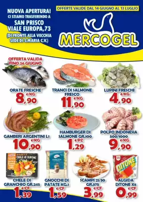 Volantino Mercogel (valido fino al 13-07)