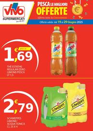 Volantino Vivo Supermercati Pagina 10