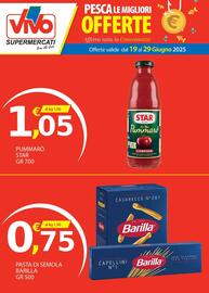 Volantino Vivo Supermercati Pagina 8